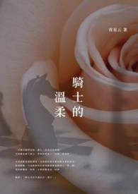 骑士的意思